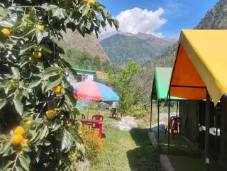 Welcome Cafe And Camps - 6