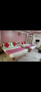 Hotel shree goverdhan palace - 8
