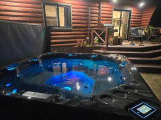 Chalet du pont couvert - 1