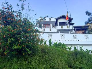 Drizzle Ridge Villa - 3