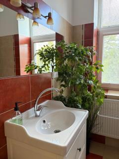 Apartmán u Horynů - Sadová - 1