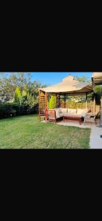 Penta house sodic - 2