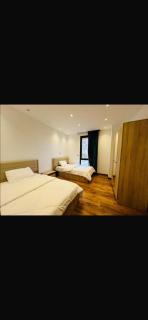 Penta house sodic - 1