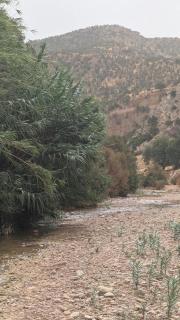 Mineral Spirit Guest House -  - 0