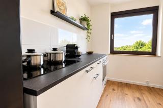 LP-Apartment mit Rheinblick, Messe, Balkon, Küche, Parkplatz - 7