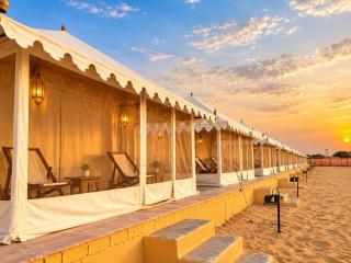 Desert cactus camp Jaisalmer - 7