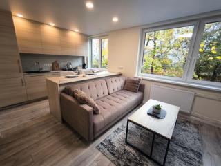 Cozy modern apartment near Vilnius Old Town - 7
