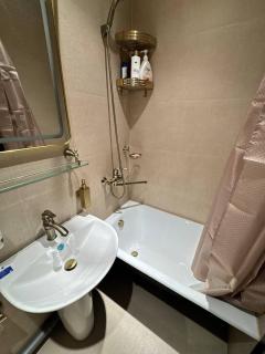 Tashkent center luxury - 1