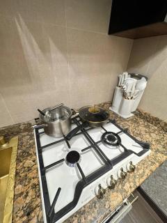 Tashkent center luxury - 4