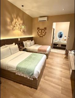 Hotel Boutique Casa Mexicana AIFA - 3