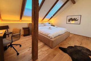 SELL Apartments - Stadthaus Altstadt Straubing - 9