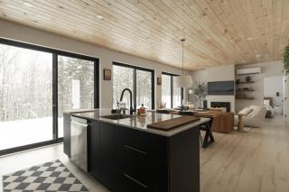 Forest Refuge - Fire - HotTub - Tremblant 15 min - 5