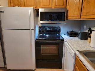 Comfy 1BR Apartment - Ideal for Traveling Nurses & Professionals - 0