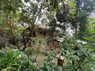 Casa de la Huerta, Oasis en San Cristobal - 9