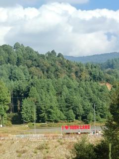 Lake View Homestay, Ziro Valley - 4
