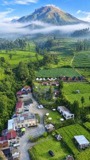 Dieng Latar Alam Tambi Syariah - 0