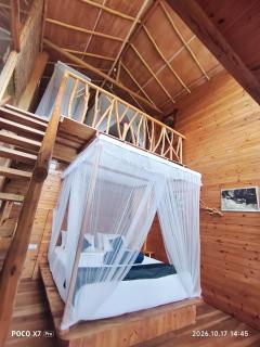 Ella Treehouse - 6