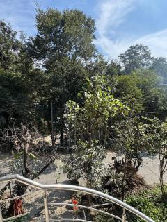 The Kasauli Collection - 7