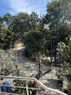 The Kasauli Collection - 3