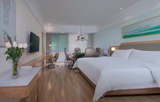 Vienna Hotel Guangdong Foshan Shunde Longjiang Material City - Shunde - 7