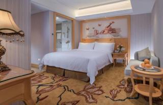Vienna Hotel Shenzhen Qinghu Metro Station - 8
