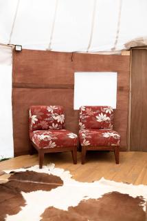 Exclusivo glamping en el bosque - 1