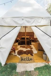 Exclusivo glamping en el bosque - 2