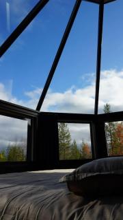Afra Arctic Aurora Cabins - 5