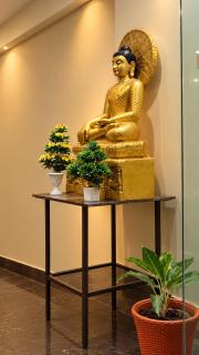 Hotel Buddh Vatika - 4