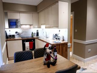 Stylish Galway City 2 Bed with 7 Min Walk to Eyre Square - 2