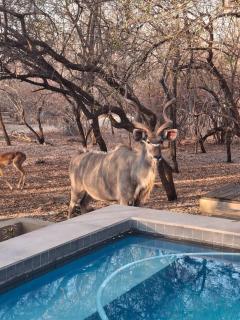 African Sky Villas - 7