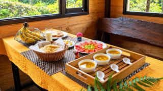 Red Panda Jungle Camp - A Unit of Davinchi Homes Pvt Ltd - 3