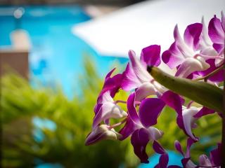 Sambopich Chenla Hotel - 7