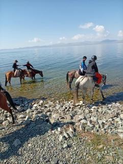 Alinur Horse Tours - 5