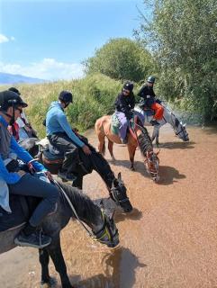 Alinur Horse Tours - 4