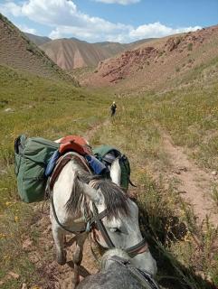 Alinur Horse Tours - 2
