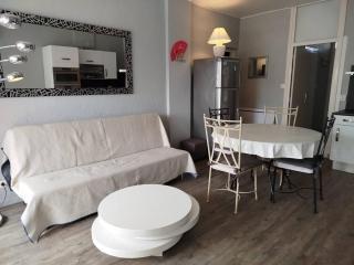 Agréable appartement T2 avec loggia proche commerces et plage - 4ALB24 - 7