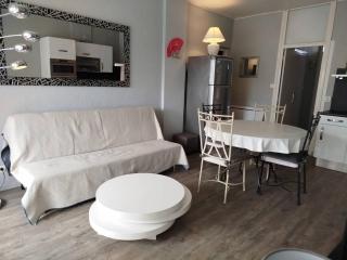 Agréable appartement T2 avec loggia proche commerces et plage - 4ALB24 - 6