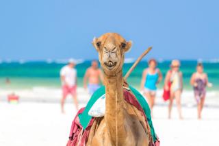 Nomad Beach Resort - 2