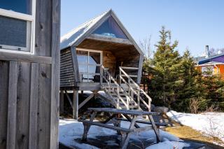 The ZzzzMoose 2 0 Camping Cabin - Birch Plain - 9