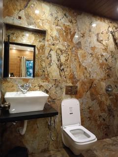 Luxury Spacious 3BHK Appartment - 7
