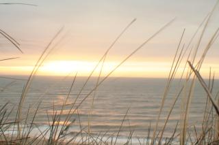 Sylt123 - Abaluga 1A - 9
