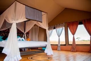 Taste Of Serengeti Luxury Safari Camp - 9