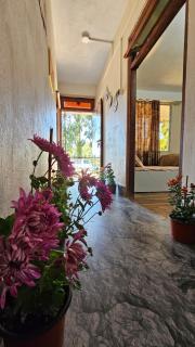 Pathivara Maa Homestay - 2