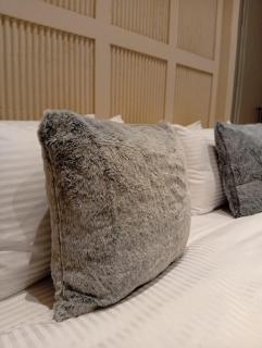 Budget One Room Oldmoney hotel - 1