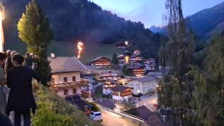 Bergrose - 6