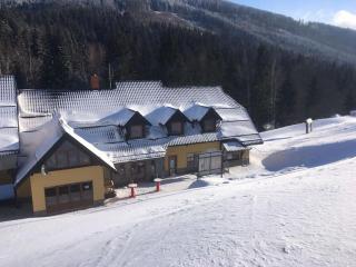 Penzion Přemyslov - 0