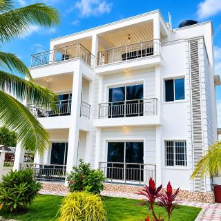Palm Paradise - 3