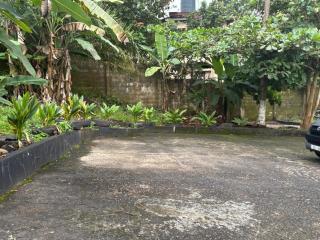 Green Pastures - 4