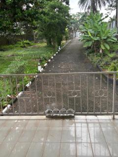 Green Pastures - 9